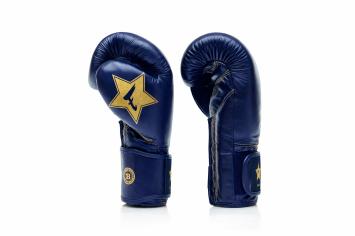 Fairtex x Booster FXB BG V2 Bokshandschoenen – Navy