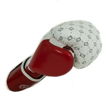 FAIRTEX Bokshandschoenen - FXB-BG STAR WH/WR
