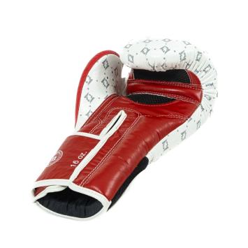 FAIRTEX Bokshandschoenen - FXB-BG STAR WH/WR