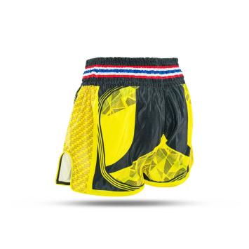 KING PRO BOXING - SHORT - KPB FLAG 3